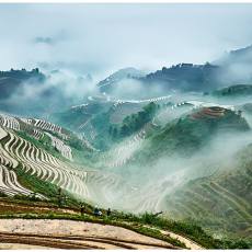 龙脊梯田