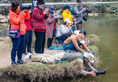 湖北18人（4月14日-20日），7天